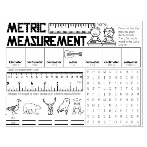 Placemat - Math -  Metric Measurement