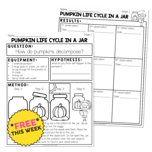 Pumpkin Life Cycle in a Jar Sample Science Experiment